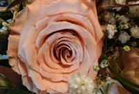 Hochzeitsplaner Westerwald Rose Farbkonzept